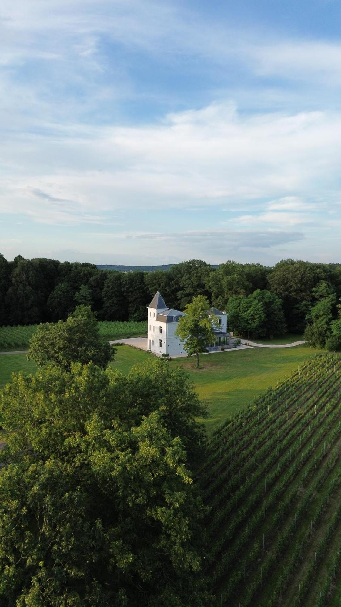Wijnkasteel Haksberg Villa Tielt Екстериор снимка